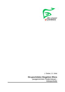 112 KB PDF - Stadt Wien