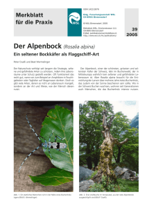 Alpenbock