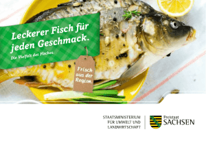 Leckerer Fisch für jeden Geschmack. - Publikationen