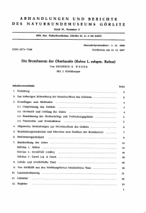 Die Brombeeren der Oberlausitz (Rubus L. subgen