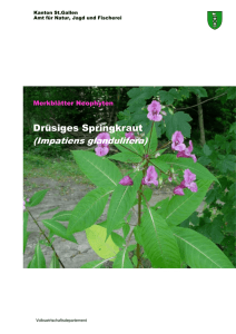 Merkblatt Drüsiges Springkraut - Amt für Natur, Jagd und Fischerei