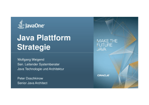 Java Plattform Strategie