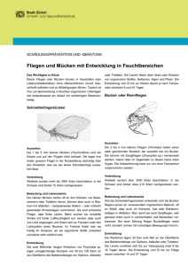 Fliegen und Mücken mit Entwicklung in Feuchtbereichen