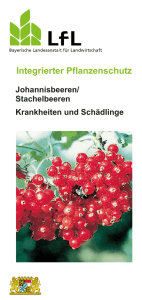 Die Publikation als PDF 1,7 MB - Bayerische Landesanstalt für