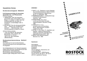 Faltblatt Laubfrosch (application/pdf/pdf 91.5 KB)