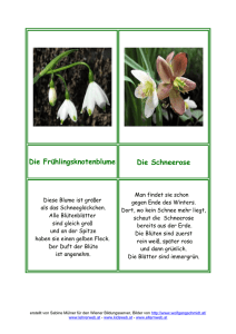 Frühlingsblumen - Lehrerweb Wien