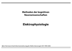 Elektrophysiologie - Max-Planck-Institut für Kognitions