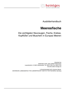 Demoversion_Meeresfische_Manuskript - Heintges Lehr