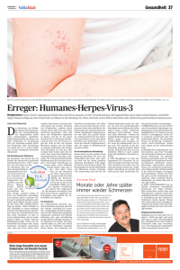 Erreger: Humanes-Herpes-Virus-3