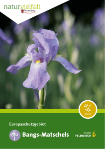 Natura-2000_Booklets_Bangs_Matschels (2.2 MB )