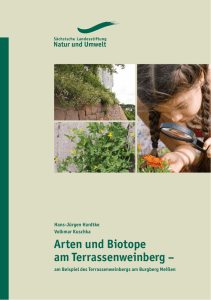 Arten und Biotope am Terrassenweinberg