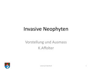 Invasive Neophyten - Lüterswil