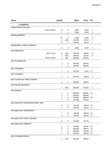 0,2 Mb - Baumschule Schmid