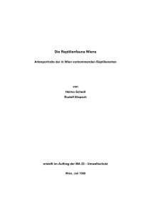 119 KB PDF - Stadt Wien