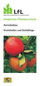 Die Publikation als PDF 733 KB - Bayerische Landesanstalt für