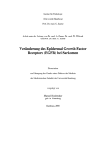 Veränderung des Epidermal Growth Factor Receptors (EGFR) bei