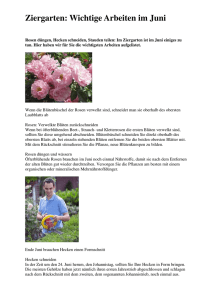 Ziergarten: Wichtige Arbeiten im Juni - kleingarten
