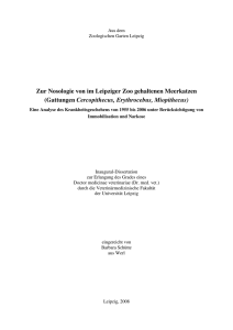 Zur Nosologie von im Leipziger Zoo gehaltenen Meerkatzen