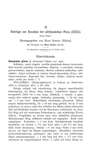 Sterruliaceae, Umbelliferae. Beitr. z. Kenntn. afrik. Flora