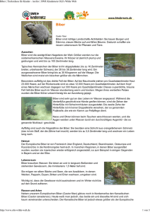 Biber PDF OLIs Tierlexikon