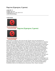 Papyrus (Zypergras, Cyperus) Artikel ID: 38 Verfasst von: terra