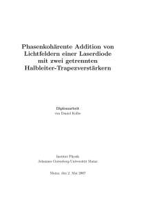 Diploma thesis at the Johannes Gutenberg-University