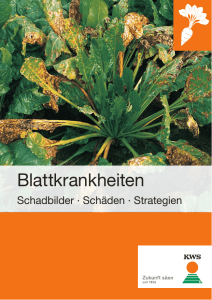 Blattkrankheiten