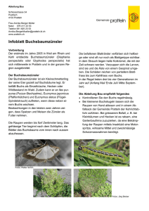 Infoblatt Buchsbaumzünsler