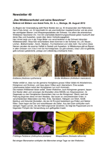 Newsletter 40 - Natur- und Vogelschutz Bätterkinden