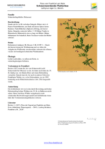 Lathyrus niger (L.) Bernh. Schwarzwerdende Platterbse