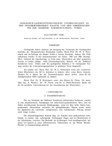 geologisch-lagerstättenkundliche untersuchungen an