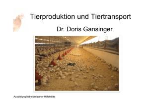 Tierproduktion und Tiertransport