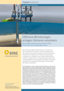 Offshore-Windenergieanlagen lärmarm verankern