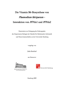 Plasmodium falciparum – - E-Dissertationen der Universität Hamburg