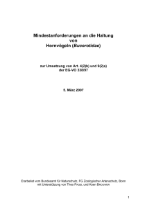 Mindestanforderungen an die Haltung von Hornvögeln (Bucerotidae)