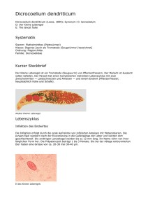 pdf-Datei zum Ausdrucken - Infektionsbiologie und Epidemiologie