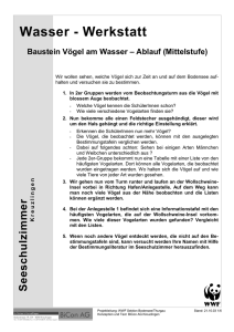 Themenkiste Vögel am Wasser für die Mittelstufe (PDF