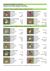 Liste Cypripedium-Hybriden für Herbst 2014 Die Pflanzen sind