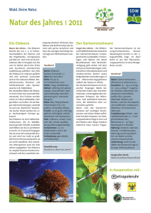 Natur des Jahres 2011 - Schutzgemeinschaft Deutscher Wald