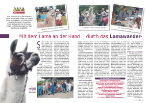 Mit dem Lama an der Hand durch das Lamawander-