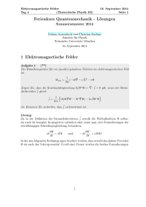Lösungen 1 Elektromagnetische Felder - Physik