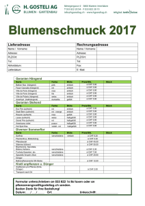 Blumenschmuck Privatkunden