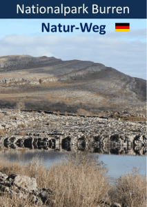 Natur-Weg - Burren National Park