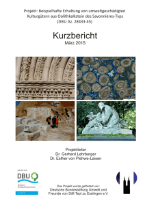 Kurzbericht - Deutsche Bundesstiftung Umwelt