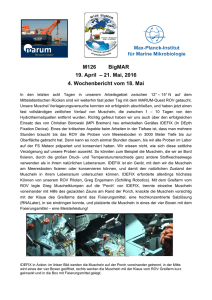 M126 BigMAR 19. April – 21. Mai, 2016 4. Wochenbericht vom 18. Mai