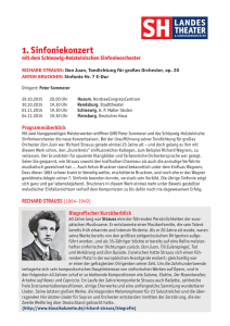 1. Sinfoniekonzert - Landestheater Schleswig