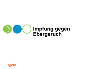 Impfung gegen Ebergeruch