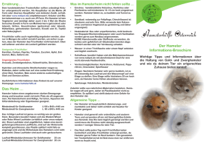 Der Hamster Informations-Broschüre