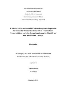 Dokument 1 - E-Dissertationen der Universität Hamburg