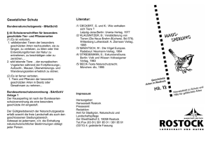 Faltblatt Haussperling (application/pdf/pdf 81.9 KB)